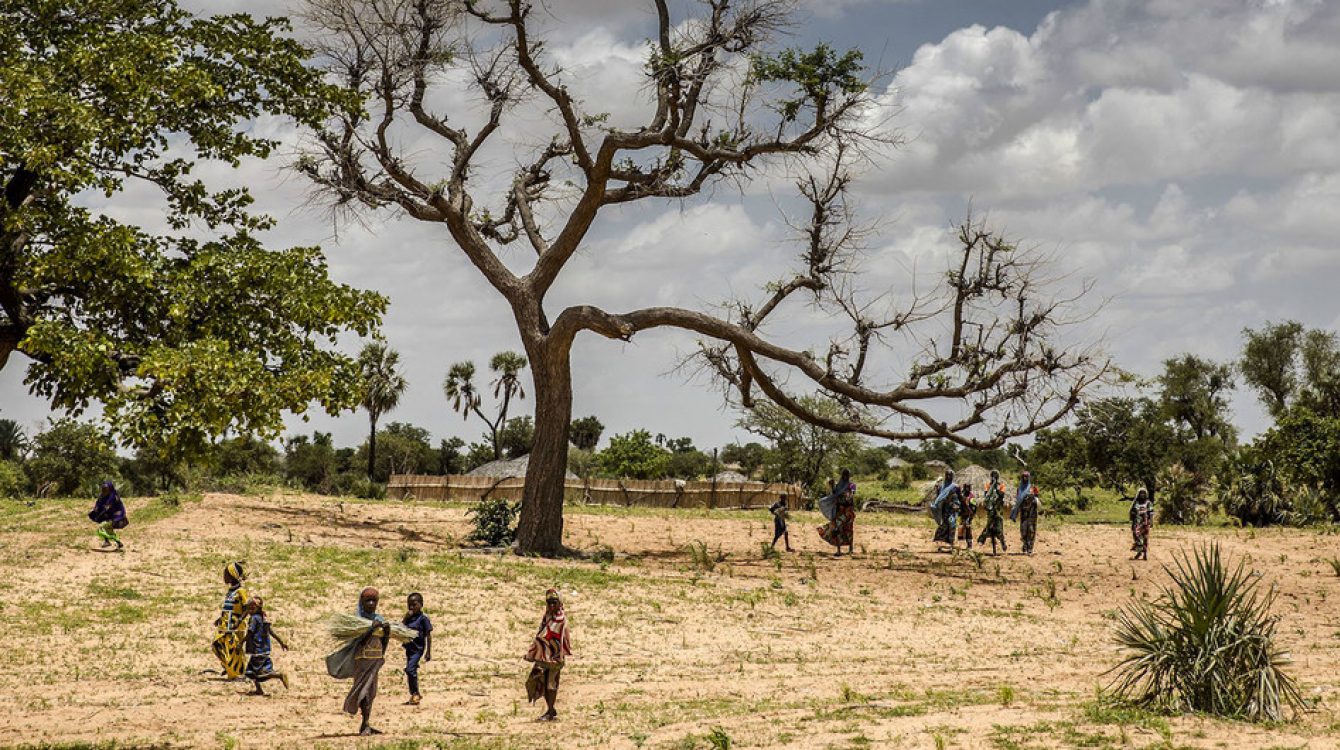 Les défis environnementaux en Afrique de l’Est : 2/5