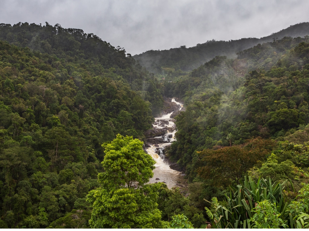 Les défis environnementaux en Afrique Central 4/5