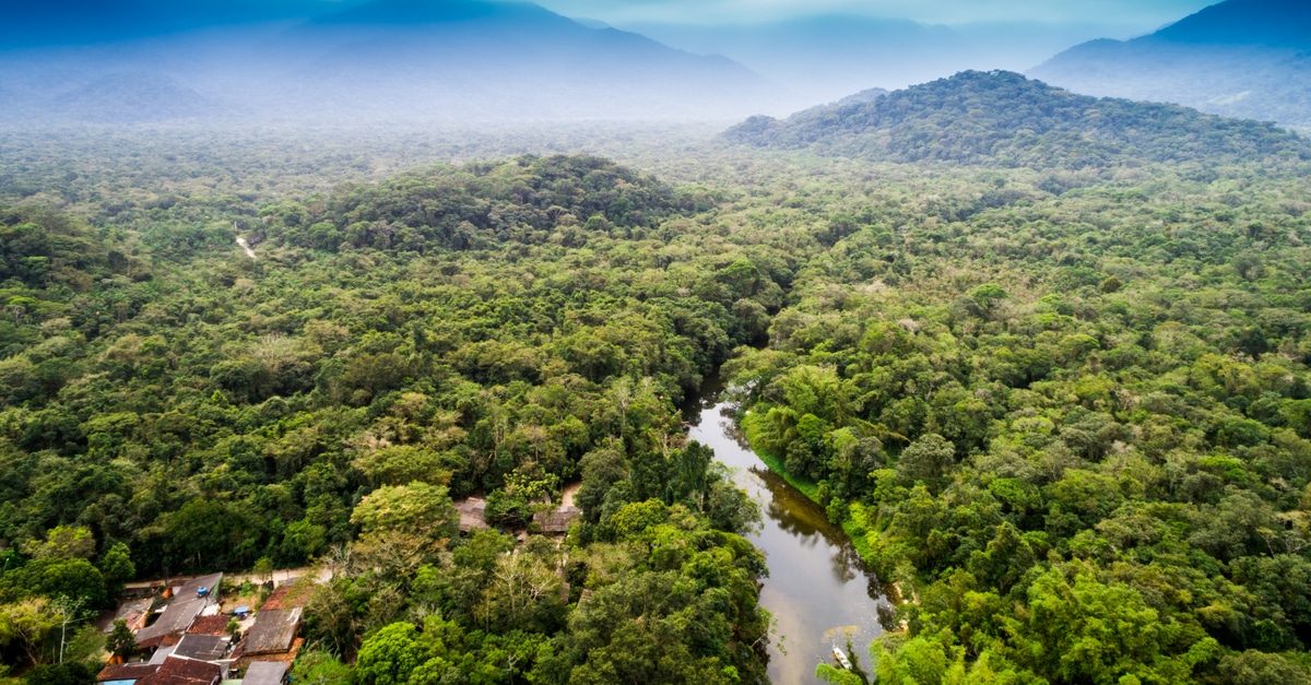 Les défis environnementaux de l’Afrique de l’Ouest : 3/5