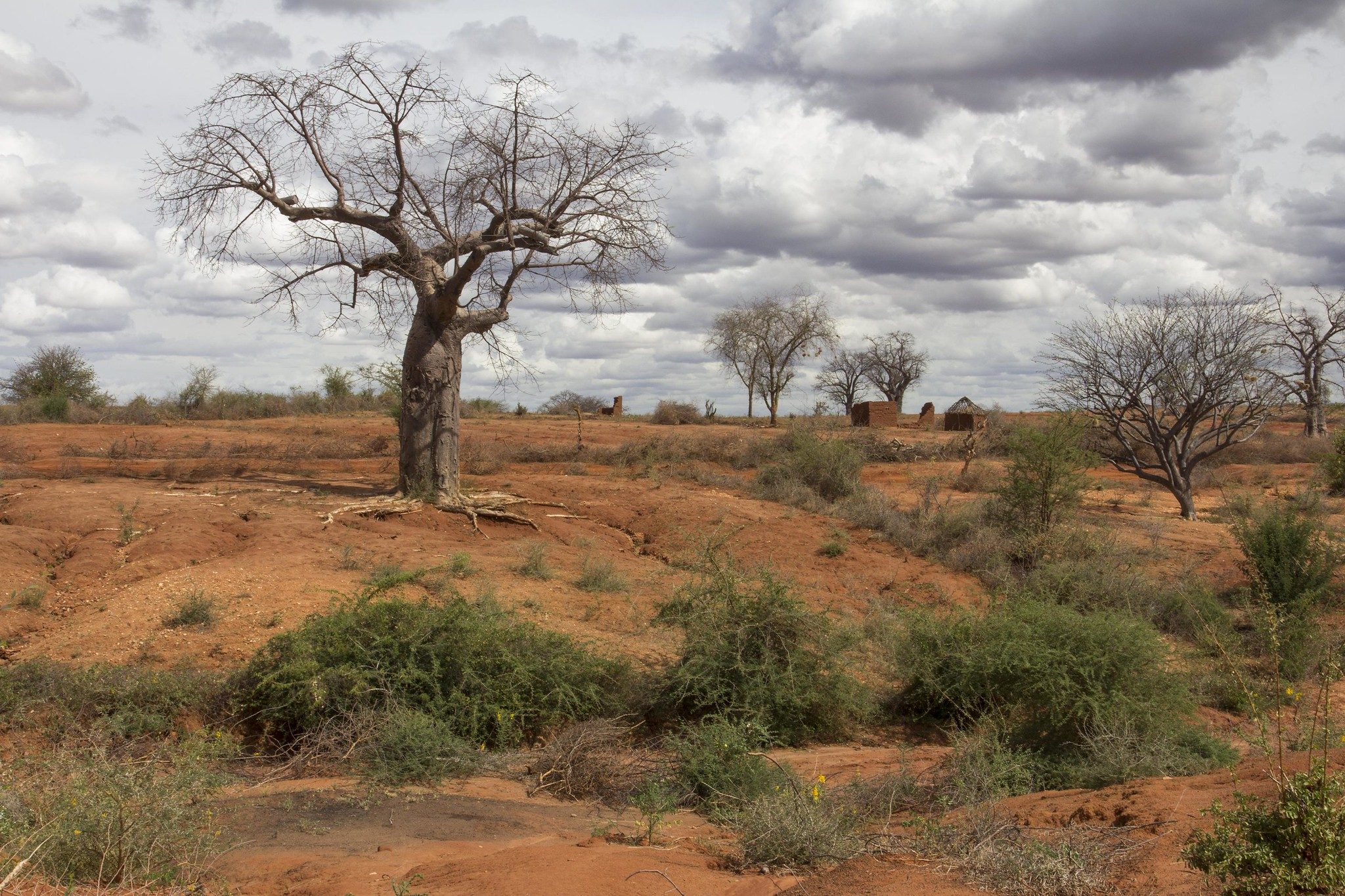 Les défis environnementaux en Afrique du Nord : Premier d’une série de 5 articles