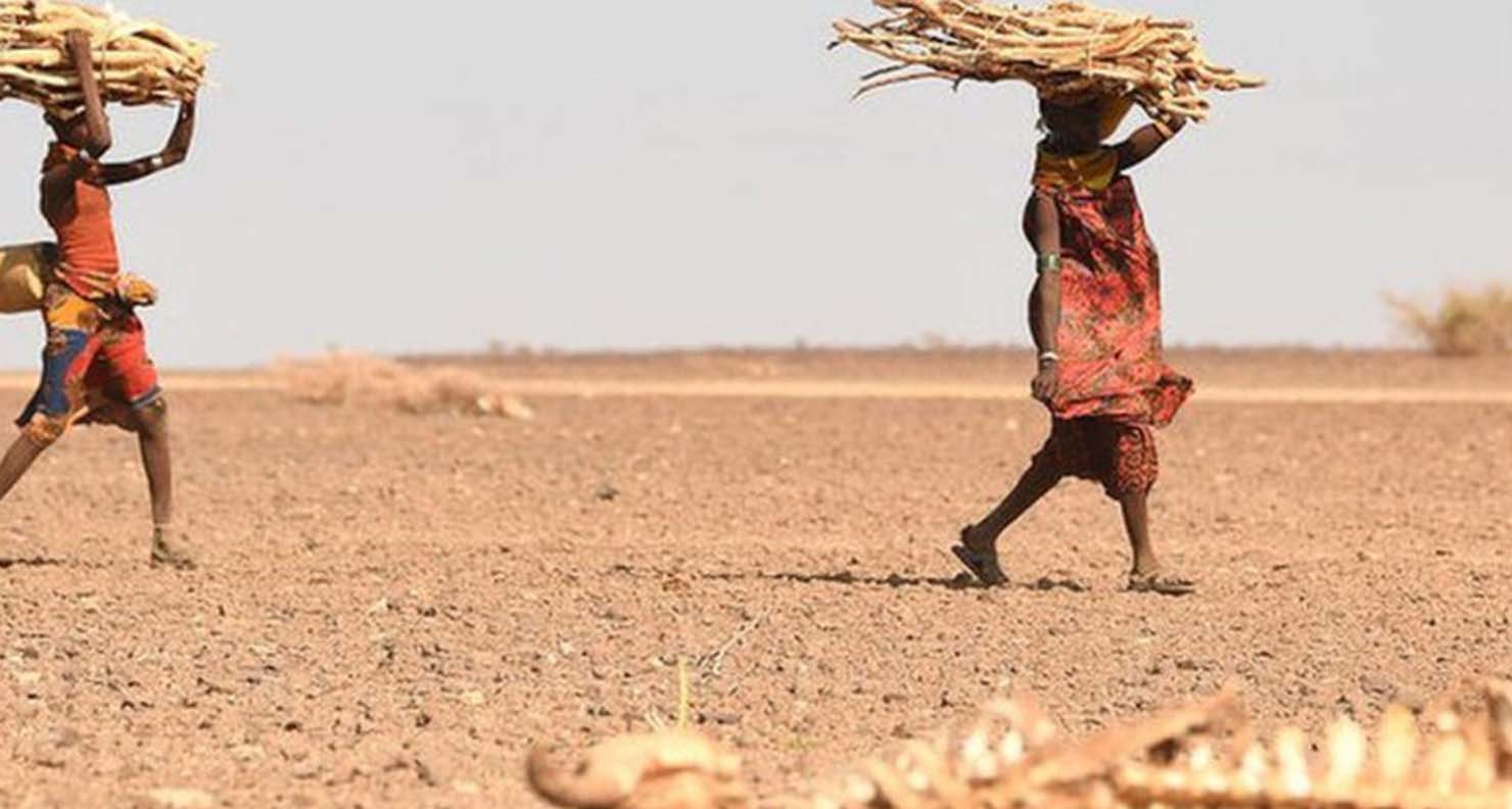 Crise de la sécheresse en Afrique : conséquences sociales, économiques et défis climatiques