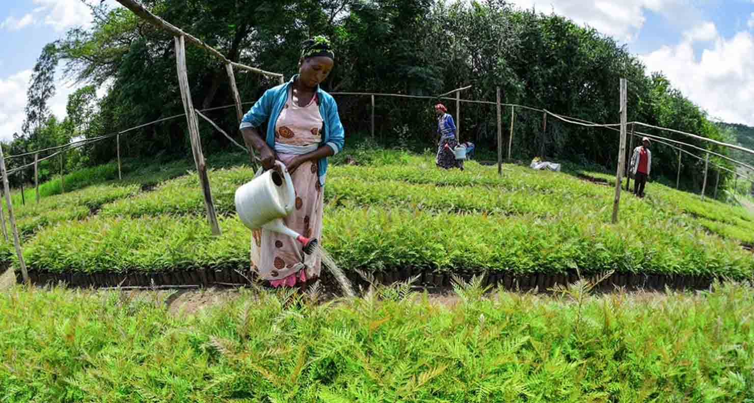 Finance verte en Afrique Sud et Kenya en première ligne