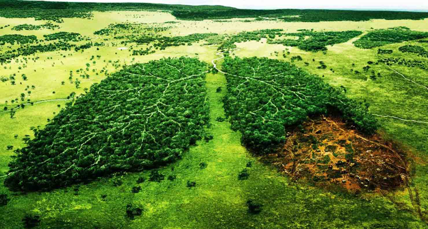 L’Afrique face au changement climatique le continent prend les devants et réclame le respect des engagements