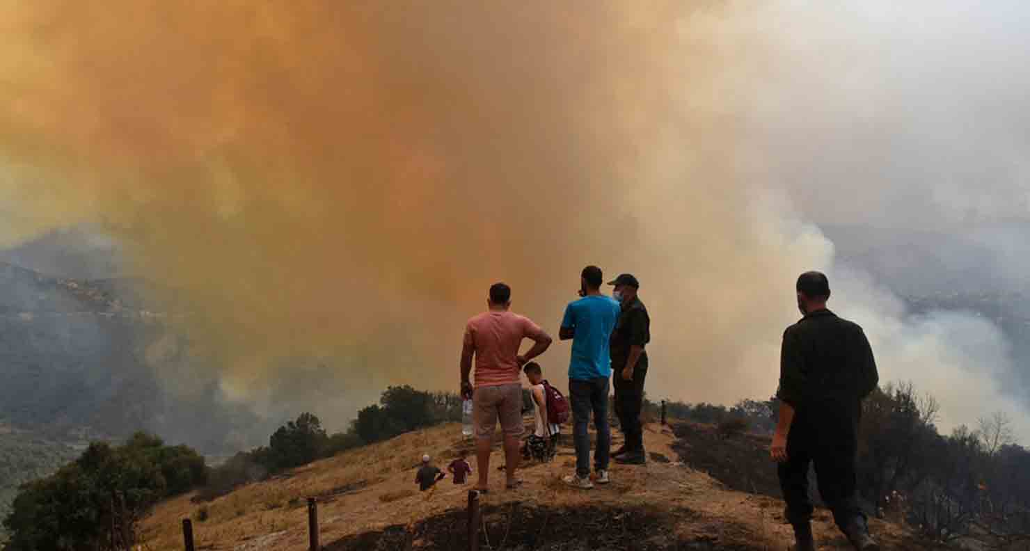 L’Algérie impose la prison à vie pour stopper les incendies volontaires en 2025