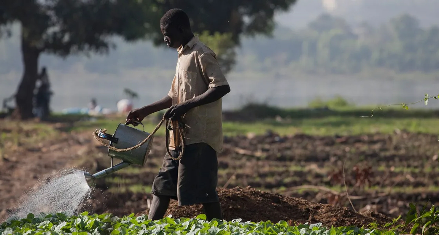 L’Agriculture africaine s’expose à Moscou pour l’Automne Doré 2025