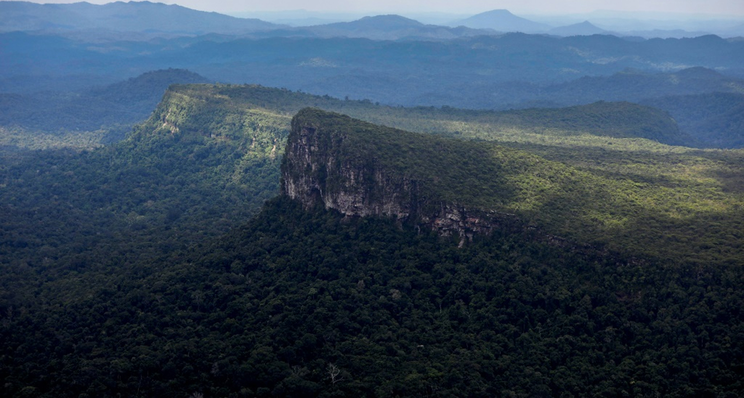 Colloque international à Brazzaville une approche africaine pour un avenir durable et écologique